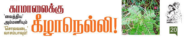'வைத்திய' அம்மணியும் 'சொலவடை' வாசம்பாவும்!