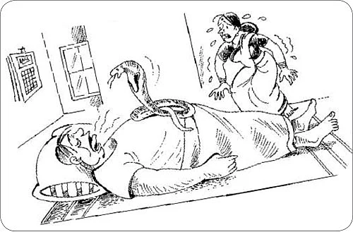 சிக்ஸ்... சிரிக்ஸ்!
