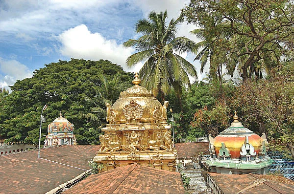 நல்லன எல்லாம் அருளும் ஸ்ரீநாகராஜர்!