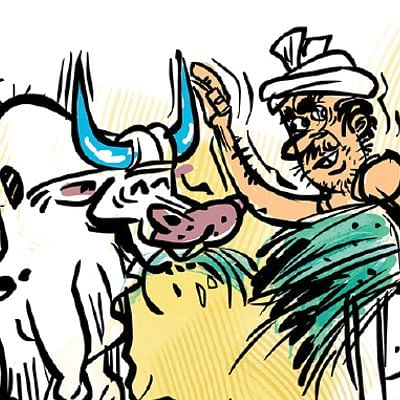 கார்ட்டூன்