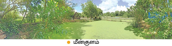 ஆடு, கோழி, மீன், அசோலா, தென்னை... அசத்தும் ஒருங்கிணைந்த பண்ணையம்!