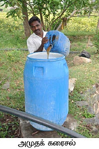 ஆண்டு முழுவதும் வருமானம்... அதிக பாடு இல்லாத அரளி...!