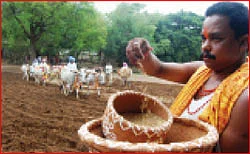வளம் பெருகும் திருநாள்!
