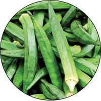 உயிர்மெய் - 14