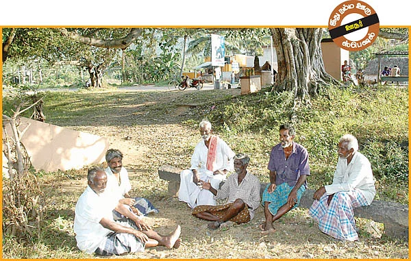 ஒரு மரம் கிடைச்சா விட மாட்டீங்களே!