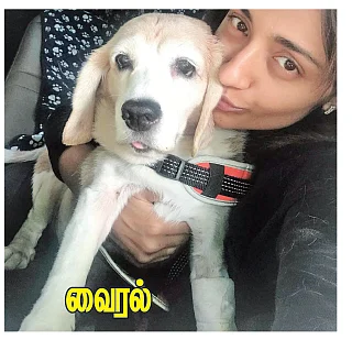 மிஸ்டர் மியாவ்