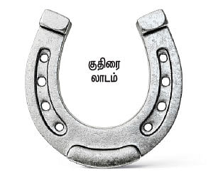 மாயா டீச்சரின் மந்திரக் கம்பளம்!