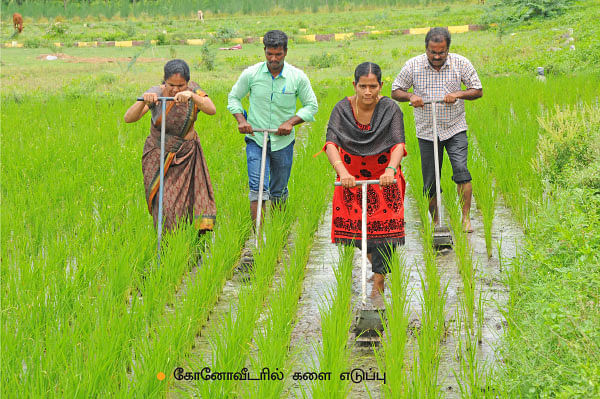 'ஒரு நாள் விவசாயி!'