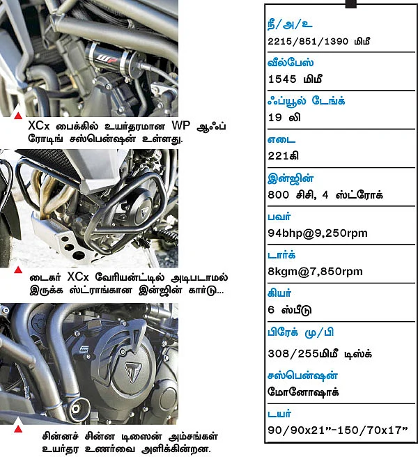 புலிகள்! ட்ரையம்ப் டைகர்
