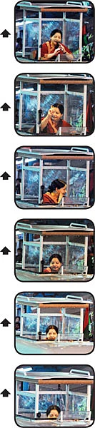 ''உங்களுடன் வாழ வந்துவிட்டேன்!''