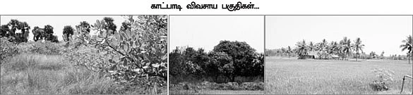 ''அரசாங்கமே விவசாயத்தை அழிக்கலாமா?''