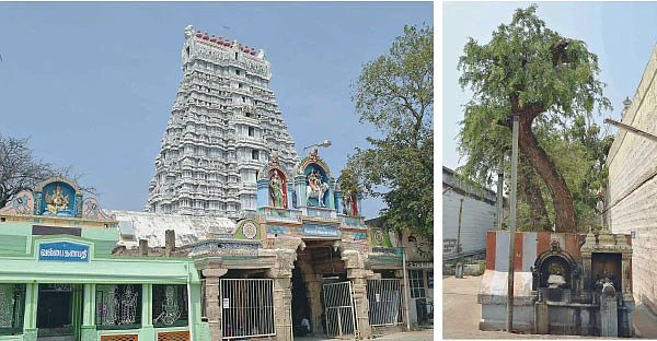 படிக்காசு அருளிய பரமன்!