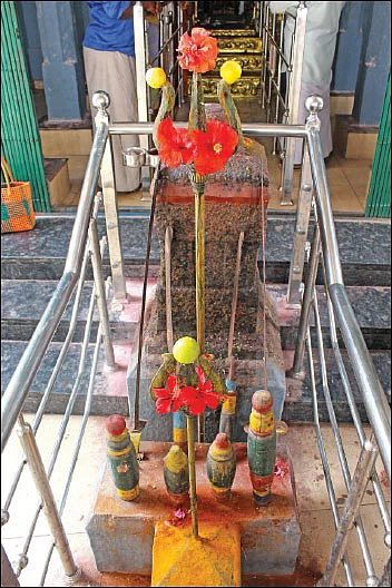 குறை தீர்க்கும் கோயில்கள் - 20 - சாமுண்டீஸ்வரி சந்நிதியில் விஷக்கடிக்கு வேர் சிகிச்சை!