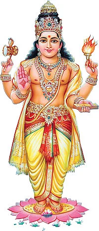 சித்தத்தைத் தெளிவாக்கும் ஜோதிட சிந்தனைகள்