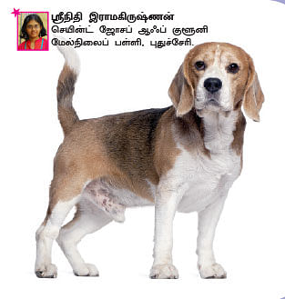 சுட்டி ஸ்டார் நியூஸ்