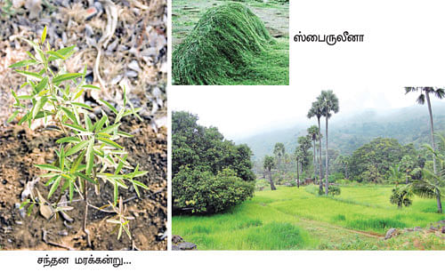 நீங்கள் கேட்டவை