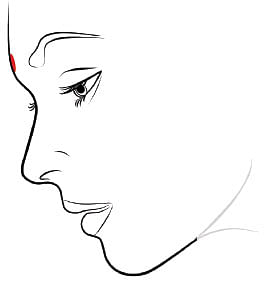 என் டைரி 273