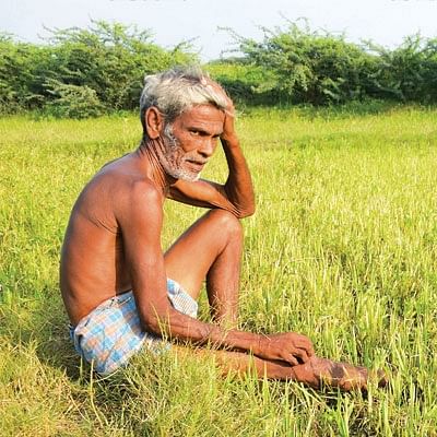 “வறட்சியை வெல்ல பாரம்பர்யத்தைக் கையில் எடுங்கள்...”