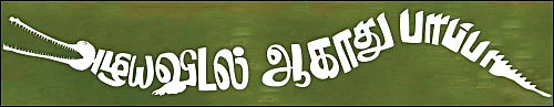 அழிய விடல் ஆகாது பாப்பா! - நீண்ட மூக்கு முதலை