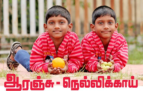ஆரஞ்சு - நெல்லிக்காய்