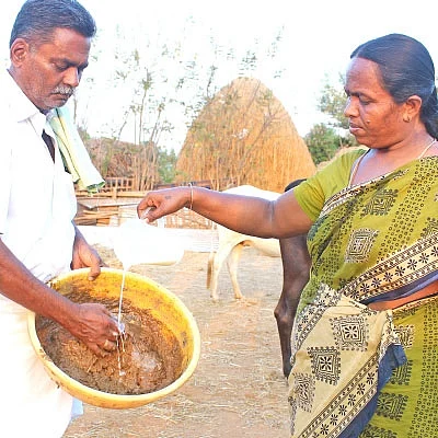பஞ்சகவ்யா - 5