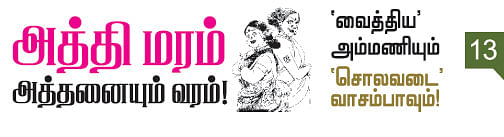 'வைத்திய' அம்மணியும் 'சொலவடை' வாசம்பாவும்!
