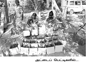 ஏக்கருக்கு... ரூ.4,50,000