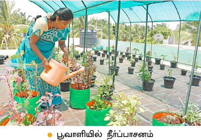 வீட்டுக்குள் விவசாயம் - 18