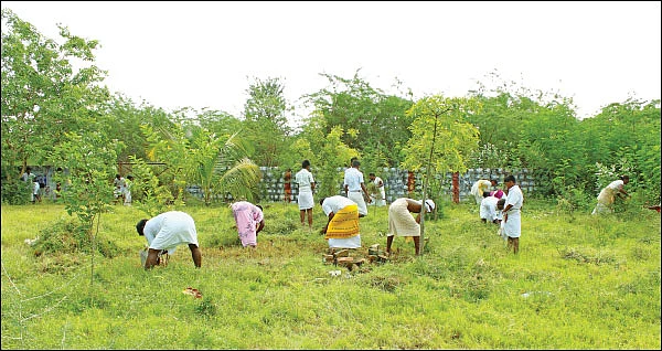 உழவாரப் பணி செய்வோம்! - 3 - அருள்மிகு மீனாட்சி சுந்தரேஸ்வரர் திருக்கோயில் கத்தாரி குப்பம் (பொன்னை)