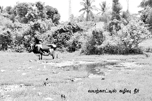 விவசாய நிலத்தில் சாக்கடை குளம்!