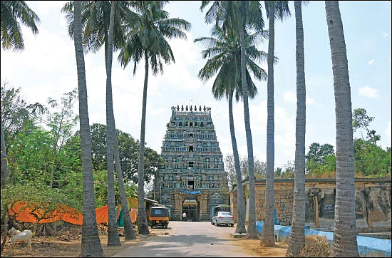 திருவருள் திருவுலா - ஏற்றங்கள் அருளும் ஏழு சிவத்தலங்கள்!