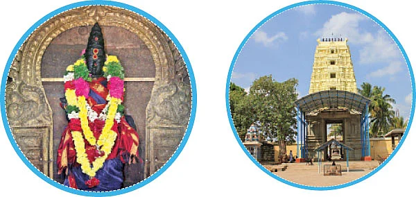 படிக்காசுநாதரைக் காண... பாத யாத்திரை!