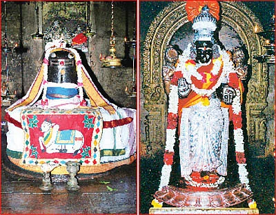 தேவாரத் திருவுலா! - நாகப்பட்டினம்