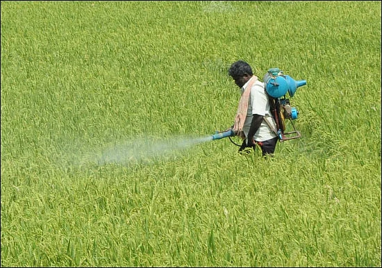 உலகை அச்சுறுத்தும் நைட்ரஜன் எமன்!