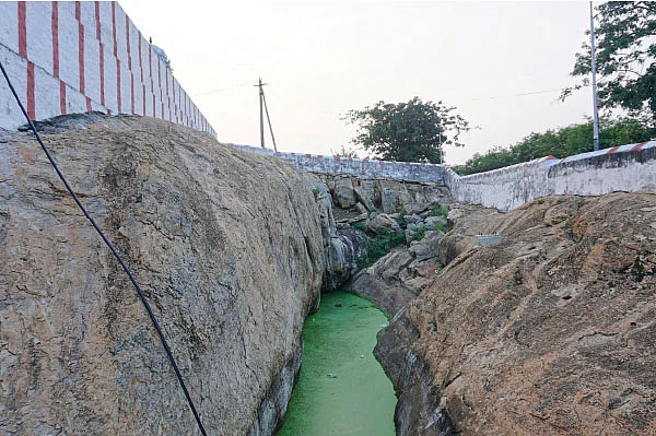 ‘பூ வாக்கு தருவான் வேலவன்!’