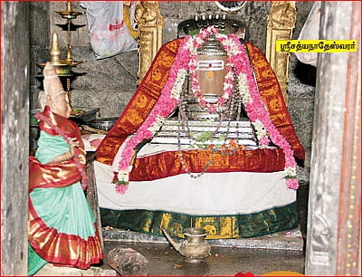 தேவாரத் திருவுலா!