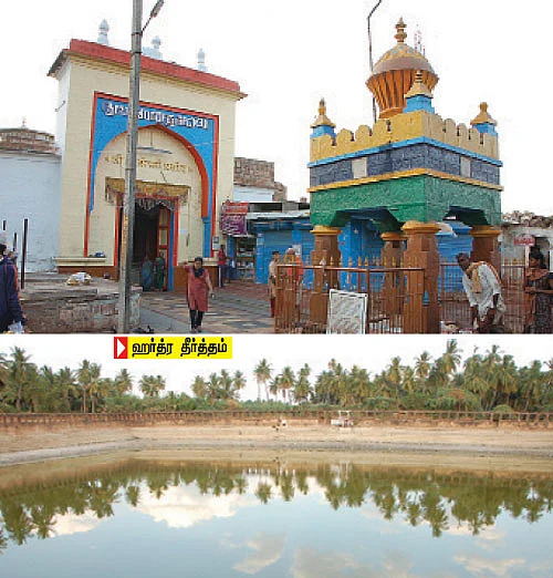 பாதாமி வனசங்கரி (கர்நாடகா)