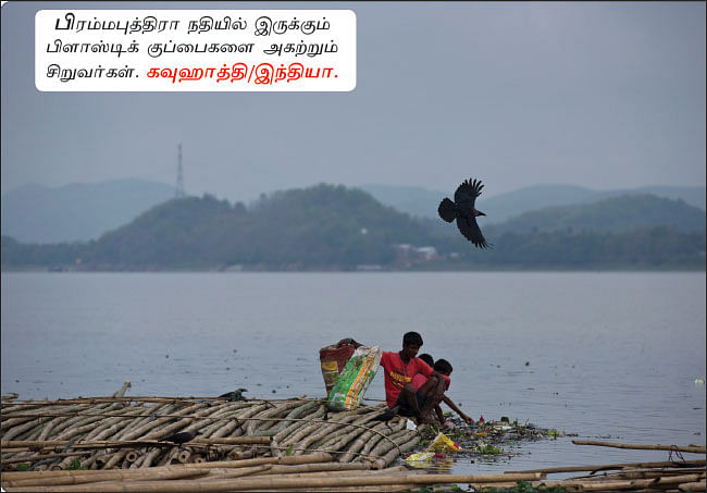 ஆல்பம்