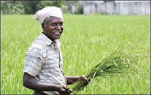 BIZ பாக்ஸ்