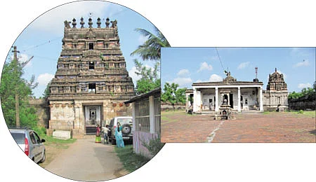 ஆரோக்கியம் அருளும் ஆலய விருட்சங்கள்!