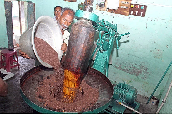 ஆயுளைக் கூட்டும் ... ஆரோக்கியத்தைக் காக்கும்... மரச்செக்கு எண்ணெய்!