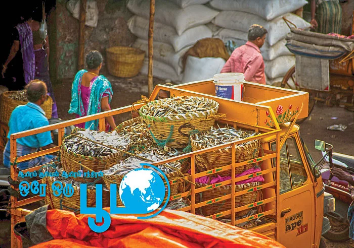 ஆயிரம் சூரியன் ஆயிரம் சந்திரன் ஒரே ஒரு பூமி - 12