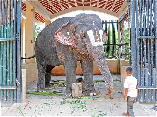 பஞ்ச பர்வத க்ஷேத்திரம்!