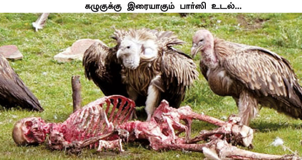 எனது இந்தியா!