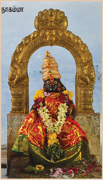 தெய்வ மனுஷிகள் - நாகு