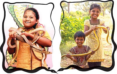 பாம்புகள் நம்ம ஃப்ரெண்ட்ஸ்
