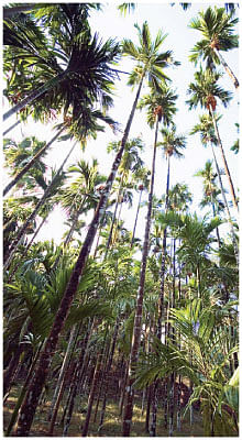 நீங்கள் கேட்டவை