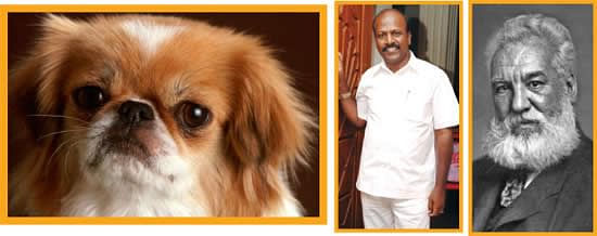 பயந்தால் நாய் ஏன் குரைக்கிறது? - ஹாய் மதன்-கேள்வி பதில்