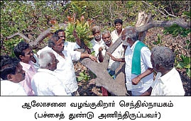 ''கூட்டு மரங்களால் கூடுதல் லாபம்!''