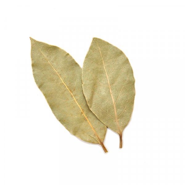 நோய் எதிர்ப்புத் திறன் தரும் பிரியாணி இலை